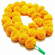 Mala- 5 pc
