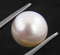 Moti(Pearl)