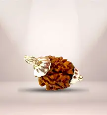Teen-Mukhi Rudraksha