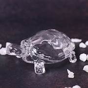 Mirror Tortoise